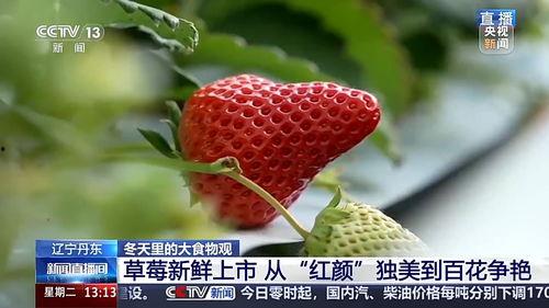 草莓视频国产,本土创新与全球视野的交融